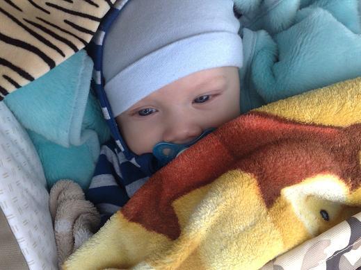 Theo myser i vagnen