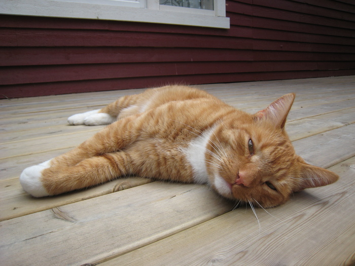 Zzzz