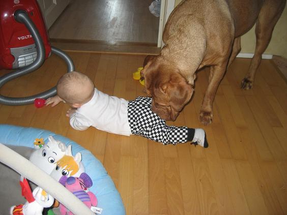 sniff sniff, uuuuhhh