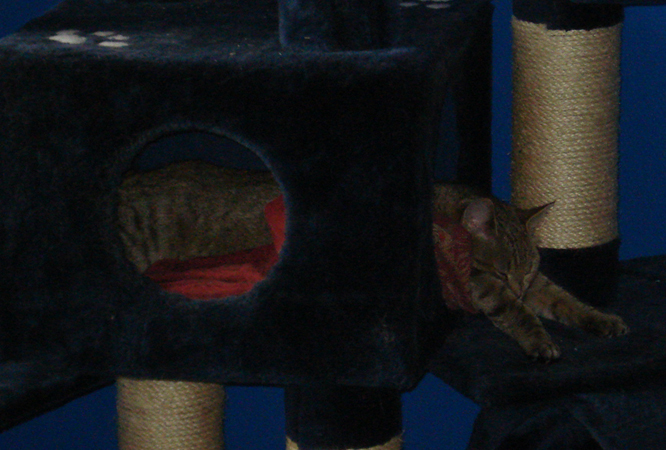 Liten gör sig stooor